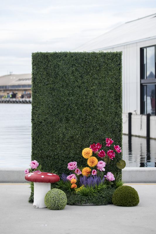 Boxwood Hedge photo backdrop